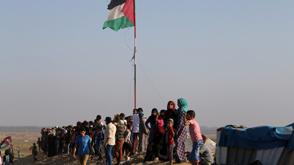 ارشيفية