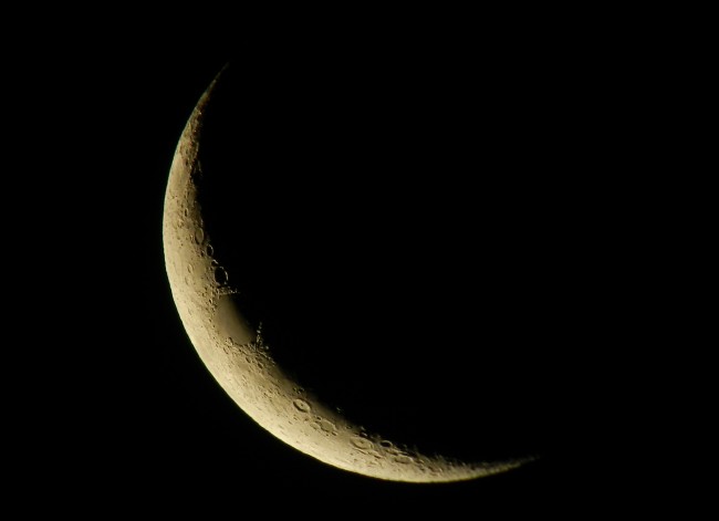 السبت الأول من ذي القعدة