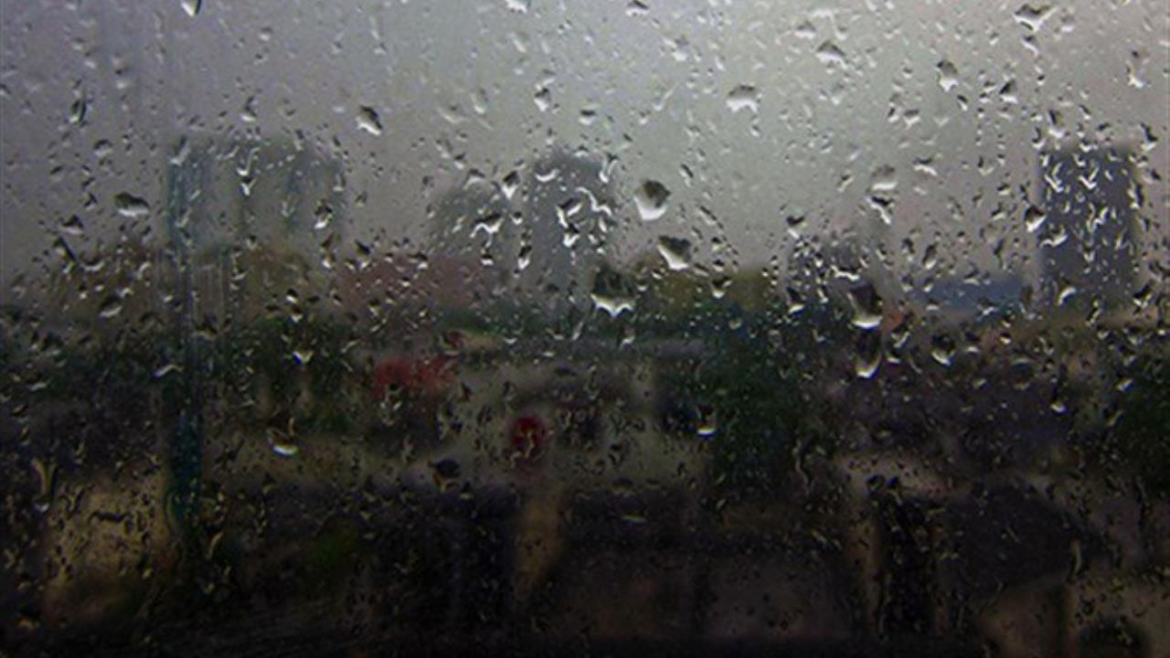 صورة توضيحية