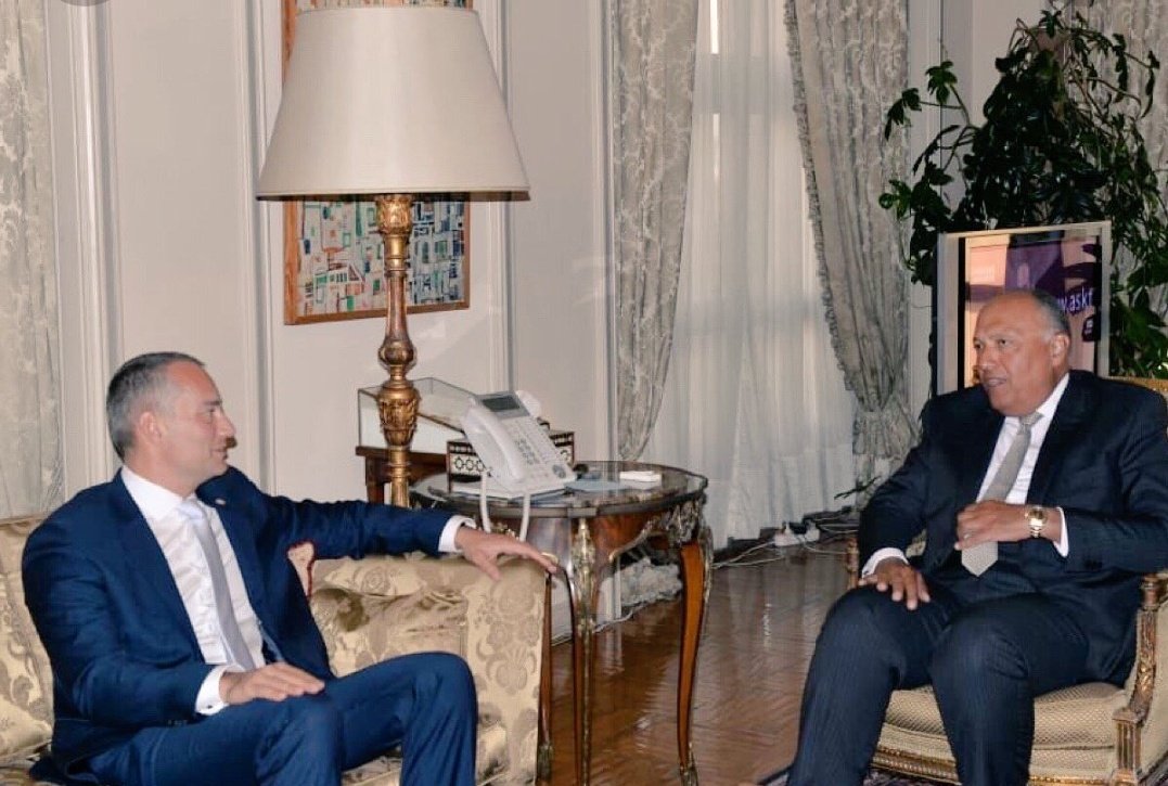 سامح شكري وميلادينوف