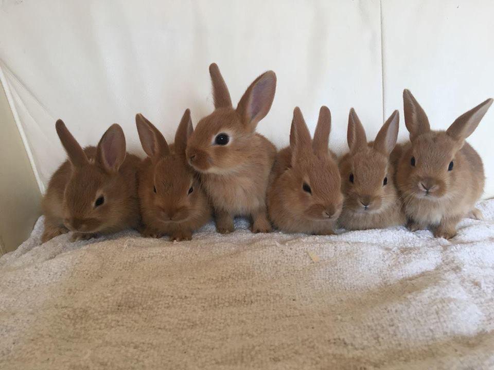 صورة نشرها الموقع