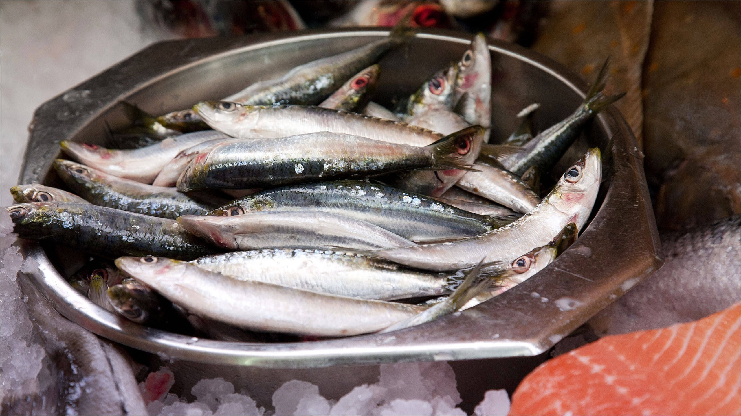 سمك الماكريل غني بفيتامين "د" 