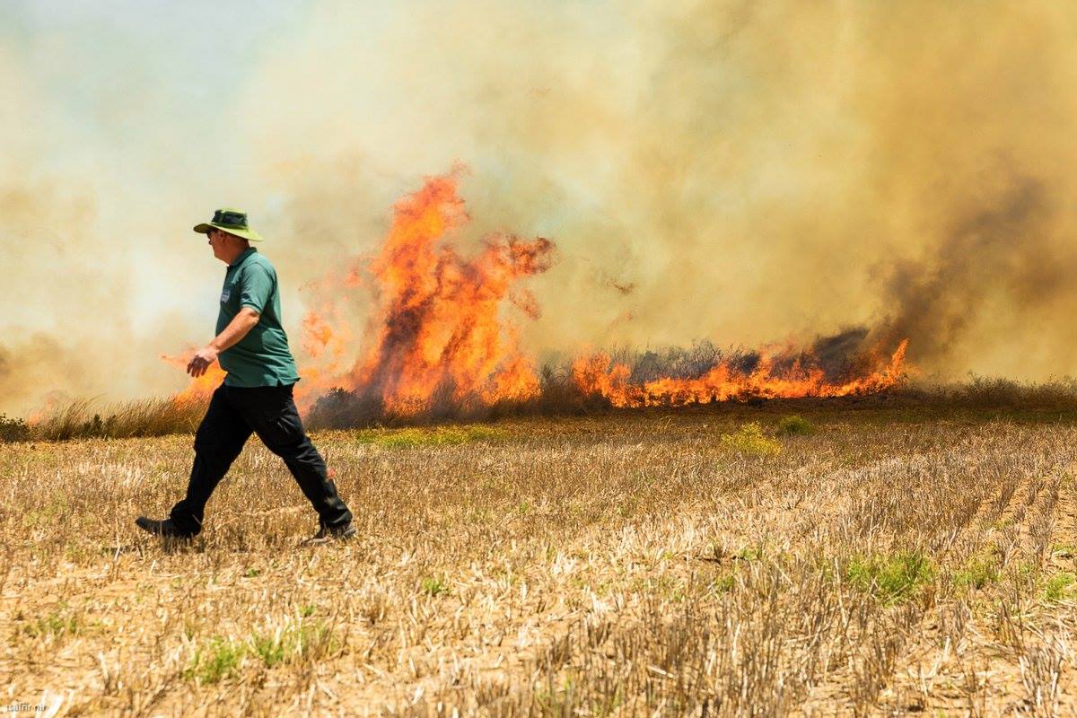 5 حرائق في مستوطنات "غلاف غزة" منذ الصباح 