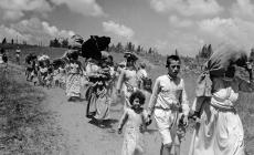 70 عاما من النكبات.. القضية الفلسطينية إلى أين؟