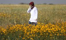 رزان النجار