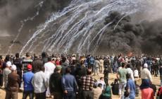 صورة ارشفية