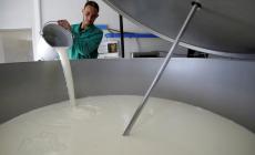 هل يتسبب الحليب ومشتقاته في سمنة الأطفال؟