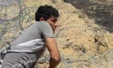 الشهيد رمزي النجار