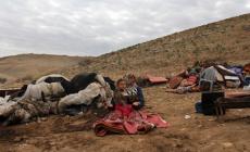 الاحتلال يطرد 5 عائلات من الأغوار بذريعة التدريبات