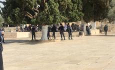 صورة خلال اقتحام الاحتلال للأقصى