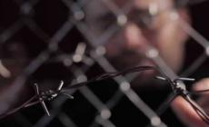 صورة ارشفية