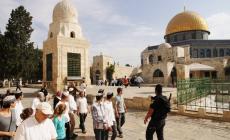 مستوطنون يقتحمون باحات المسجد الاقصى