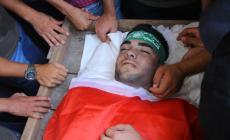 الشهيد أبو حليمة