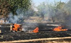 الحرائق التهمت عدد من خلايا النحل بفعل بالون حارق أطلق من غزة