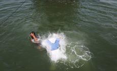 صورة توضيحية