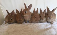 صورة نشرها الموقع