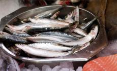 سمك الماكريل غني بفيتامين "د" 