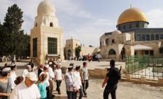 صورة ارشفية