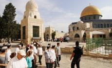 عشرات المستوطنين يقتحمون باحات الأقصى