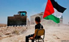 طفل يتحدى جرافات الاحتلال في الخان الأحمر