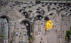 وفاة جدة ميليس تسببت له بصدمته ودفعته للتفكير في كيفية التغلب على الزهايمر- جيتي