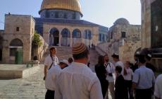 "منظمات الهيكل" تدعو لتكثيف اقتحام الأقصى من الأحد المقبل