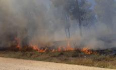 حرائق بغلاف غزة بفعل البالونات الحارقة