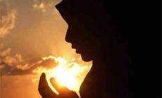 قصيدة "قصد السبيل"