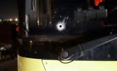 صورة الحافلة المستهدفة