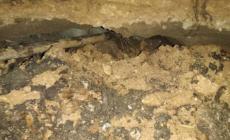 الأمطار الغزيرة تكشف عن نفق حفره المستوطنون أسفل سلوان