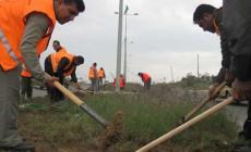 تشكيل لجنة للاشراف على العمل الؤقت