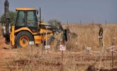 نبش في مقابر الارقام 