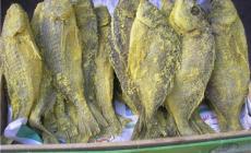 الغزيون اعتادو تناول الفسيخ صبيحة العيد