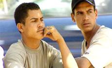 البطالة والشباب في فلسطين