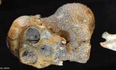 صورة "أرشيفية"