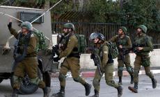 الاحتلال يقتحم سلوان ويداهم مركز معلومات وادي حلوة