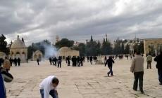  تصاعد اقتحامات المسجد الأقصى يفضح صمت السلطة