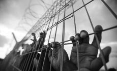 هيئة الأسرى تنقل شهادات قاسية لأسرى معزولين في "مجدو"