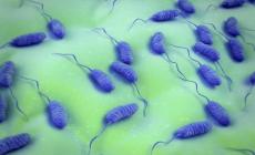 صورة "أرشيفية"