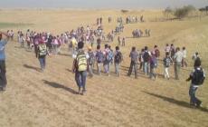 الاحتلال يكثّف قواته بقرية أم نميلة بالنقب