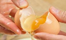 بيض الدجاج يؤثر على أيض ‫الكولسترول بدرجة أقل بكثير مما يعتقده الكثيرون