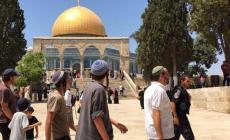 مستوطنون يقتحمون الأقصى