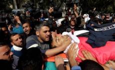 أم الشهيد ياسر مرتجى للفنانة مادونا: ستغنين للارهاب!