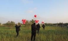 الاحتلال يزعم: إطلاق بالونات حارقة ومفخخة من غزة