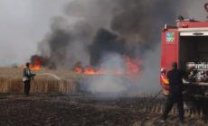 إجلاء 40 عائلة اسرائيلية بسبب الحرائق