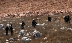 الاحتلال يستولي على مساحات واسعة من أراضي سلفيت