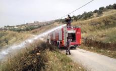 احتراق 40 شجرة زيتون في جنين