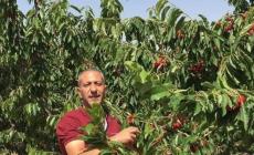 الأسير "العربيد" .. (قنبلة موقوتة) تحت التعذيب