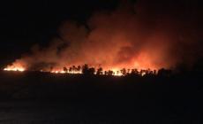 الدفاع المدني يخمد 6 حرائق في محافظة جنين