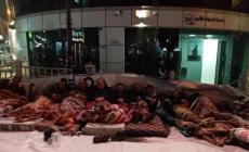 صورة "أرشيفية"